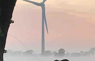 Reetdachhaus, Wilstermarsch - Foto 17