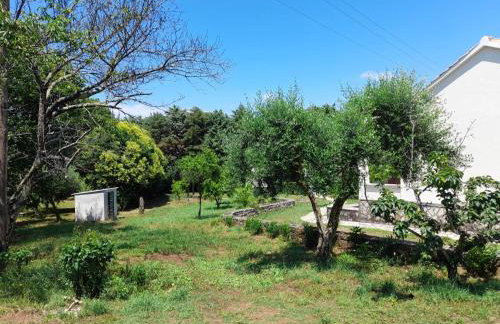 Lemontree Apartments - Foto 75