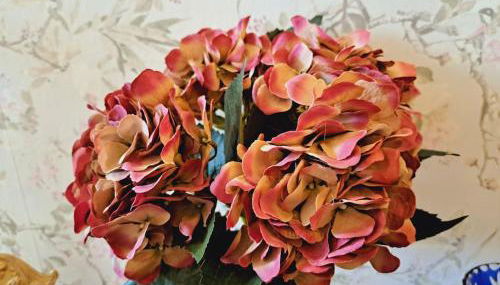 Haus Moselwald - 3 bedrooms - Foto 5