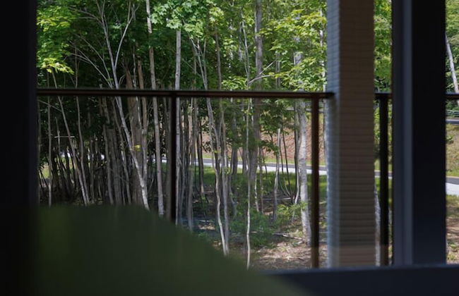 LYS GRACIEUX【Ezo Fuji hoothills】 - Photo 16