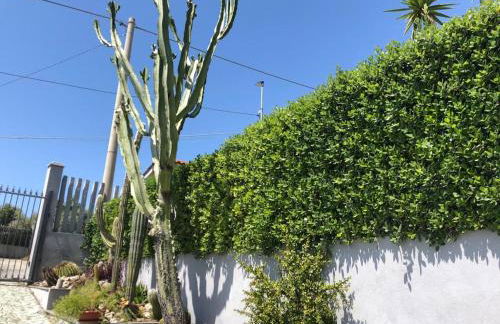 Appartamento L'Ulivo - Foto 33