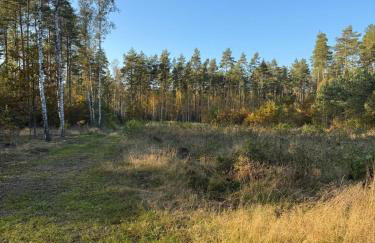 Warmia Domek Bukowy - Foto 33