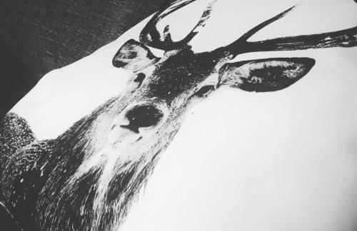 Le Petit Caillebotis - Foto 7