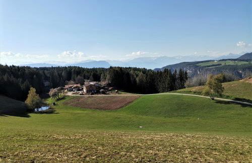 Schupferhof - Foto 36