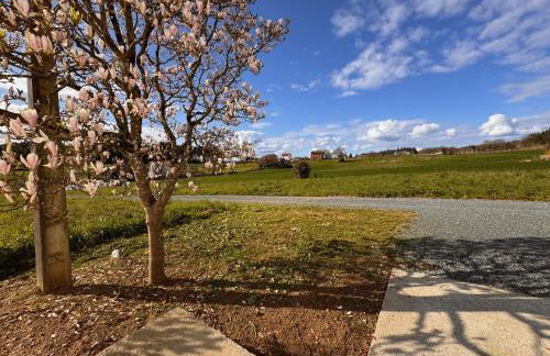 a revolta Boqueixon - Photo 8