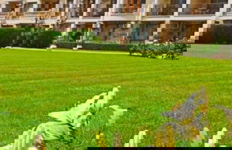 Maisonettes in Royal Bay Residence&SPA 2 - Foto 44