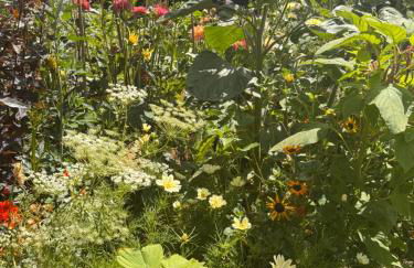 The Old Cheese Press, Eckington - Foto 56