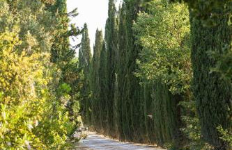 Hotel Relais Santa Genoveffa - Foto 16