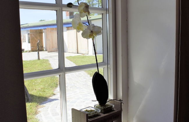 Haus Fresenhagen - Foto 18