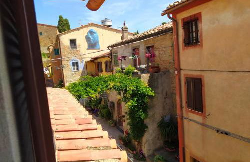 La Bella di Lajatico - Foto 25