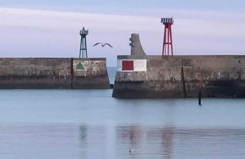 Jolie Colombe, maison 3 ch 2 sdb beau jardin terrasse aménagée à 15 mn à pied de la mer du centre Port en Bessin proche golf et d'Omaha Beach et Bayeux - Photo 50