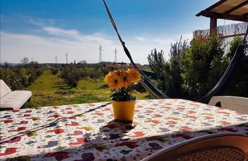 Shanti - Mare, Lago di Bolsena, Terme di Vulci - Foto 24