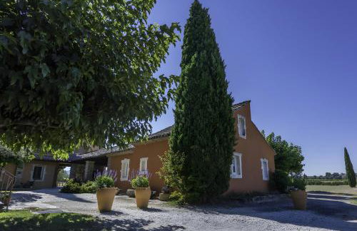 Le Ventoux - Photo 4