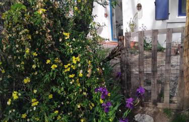 Les Pipistrelles - Foto 7