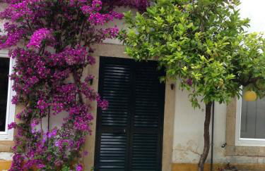 Quinta da Bizelga Cottages - Foto 19