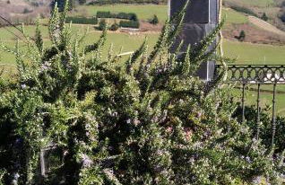 La Cabana´l Cachican - Foto 73