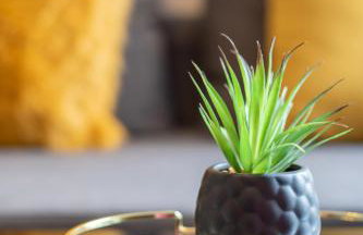 Sterling Aparment - Foto 18