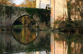 Les Iris - Maison Chaleureuse - Photo 22