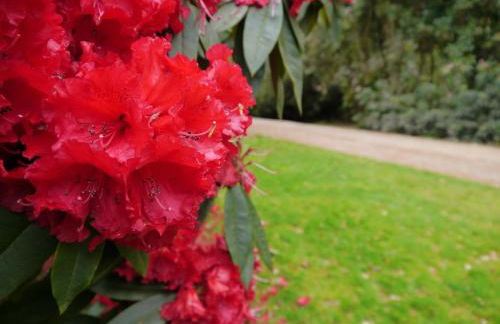 Coachmans Cottage - Foto 27