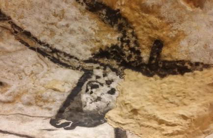 Longère des Galinoux - Photo 40