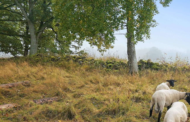 6 Person Holiday Home in Floby - Foto 4