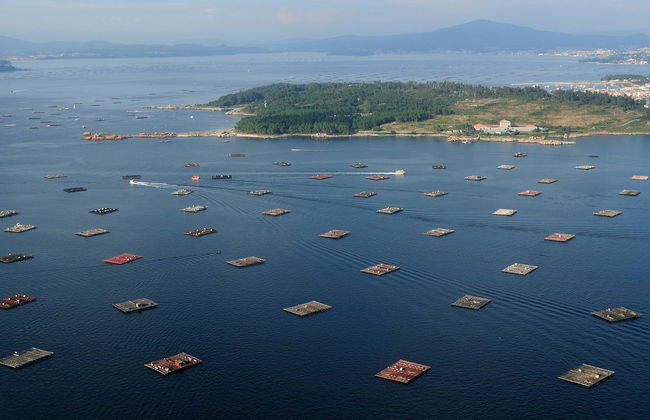 Tour in Cangas - Foto 7