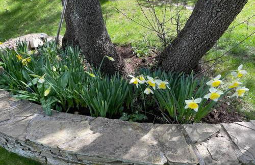 Villa con Jacuzzi exterior y Piscina cubiertos - Foto 6