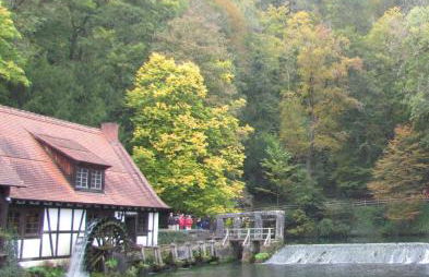 FeWo meisteroffice im Sackgässle, ebenerdige ELW 50qm, Terrasse, vollwertige Küche, Nähe Ulm - Foto 30