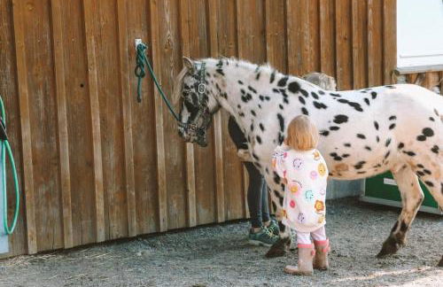Birkenhof - Ferienhof, Landcafe und Rösterei - Photo 13