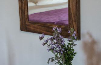 Bio Agriturismo Montemenardo Apartments - Foto 64