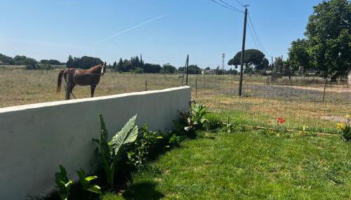 Le 255-côté jardin - Photo 3