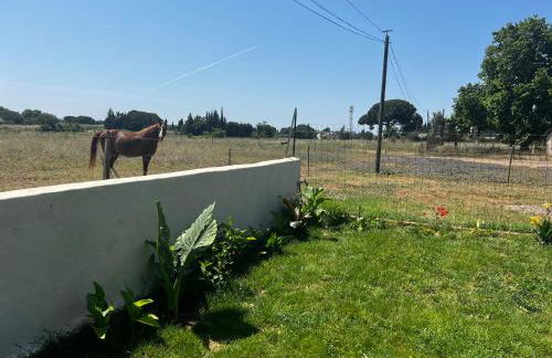 Le 255-côté jardin - Photo 3