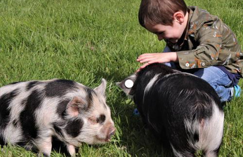 Well Farm Cottages - Foto 18