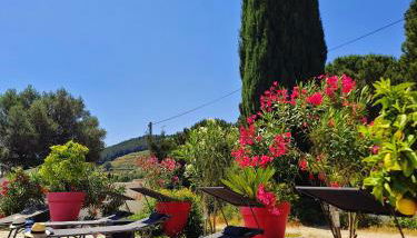 Logement La Belle Provence - Foto 2, sunbed