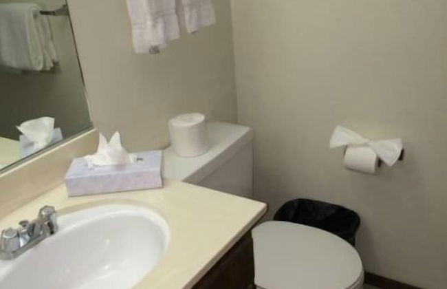 Mammoth Mountain Reservations Condo Collection - Photo 25