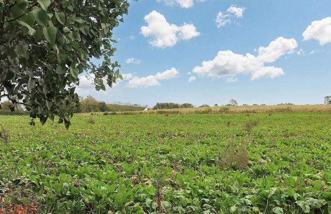 4 Person Holiday Home in Millinge - Foto 26