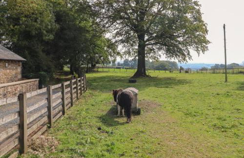 Stable Cottage - Foto 26