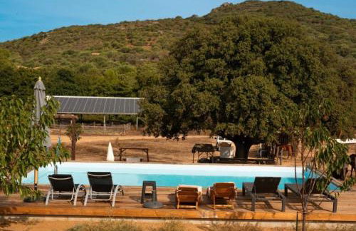 Les Chalets de Tesa - Foto 7