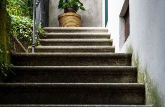 Little Garden House - Photo 26