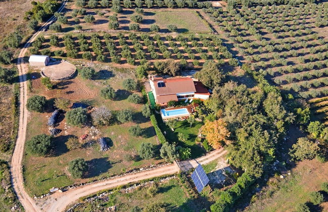 Carcavelos Villa With Pool - Foto 32