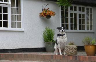 Bucket Lock Cottage - Foto 20