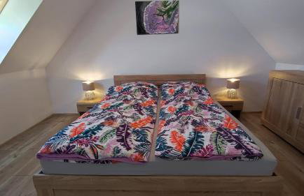 Blu Raj - domy w Sudetach - Foto 30