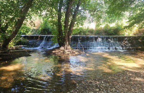 Finca rural Labriega del hueznar - Photo 7
