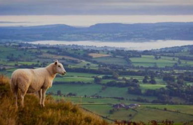 Sunnyholme - New! Yorkshire Luxurious Cottage - Foto 51