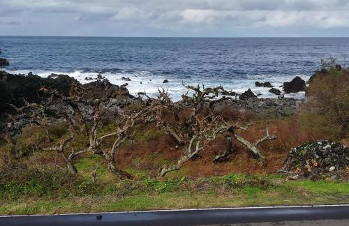 A Casa da Formosinha - Photo 55