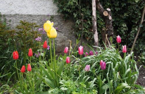 Garxo Apartamentos - Foto 15