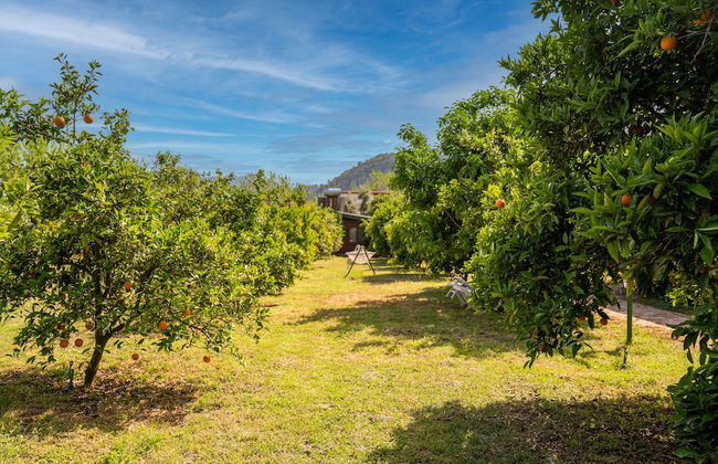 Ikiz Villas - Foto 73