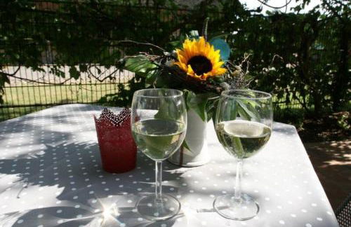 Landhaus Immenbarg, Sonne - Foto 4