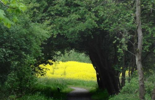 Reethaus Gaarwang - Foto 31