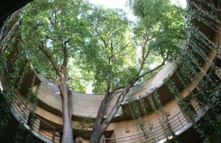 Romantic Apartment Botanico by Virkin Suites - Foto 20